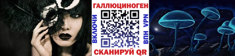 Купить где Городец Галлюциногенные грибы Psilocybe